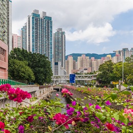 The revitalised river design enhances the drainage capacity of Kai Tak River and reduces the incidences of flooding at the intersection of Choi Hung Road and Tai Shing Street, which is a part of the major road network serving Wong Tai Sin and San Po Kong.